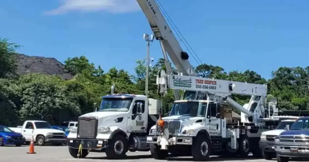 Crane Rental Near Me: Choosing the Right Service in the Outer Banks, NC