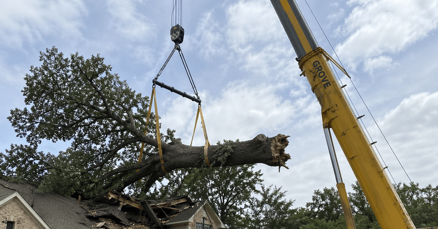 A professional crane lifts a heavy log over a coastal cottage.