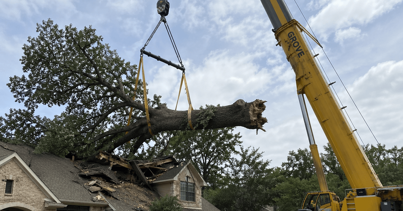 A massive crane lifting a fallen oak tree off a residential roof.