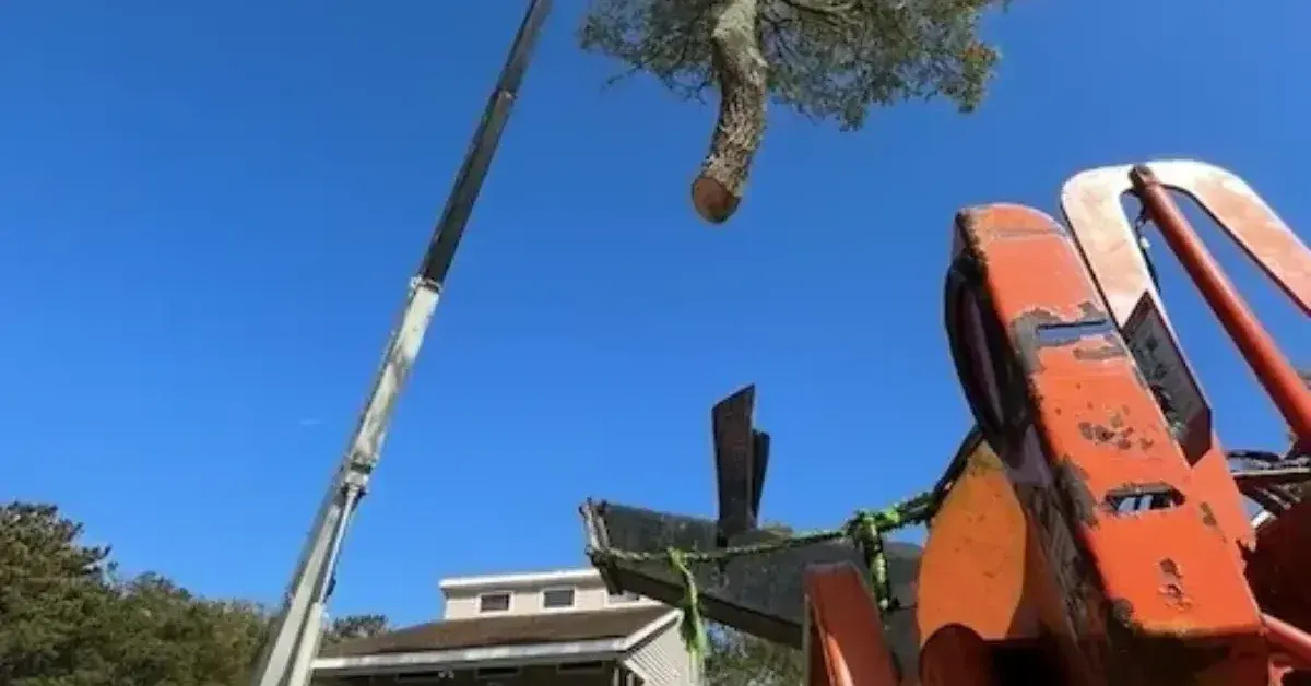 Boom truck performing crane-rental tree removal in Nags Head, NC