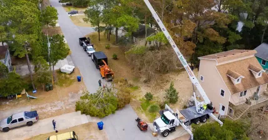 Crane Service Tree Removal In Outer Banks, NC