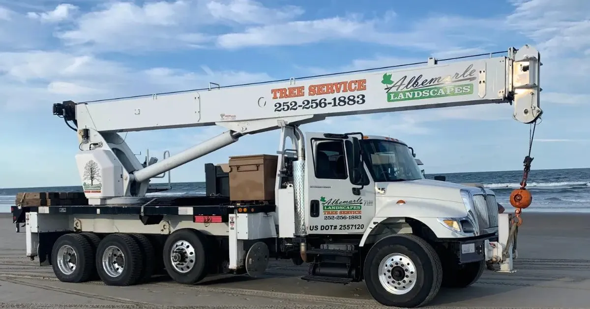 Types of Cranes and Their Uses