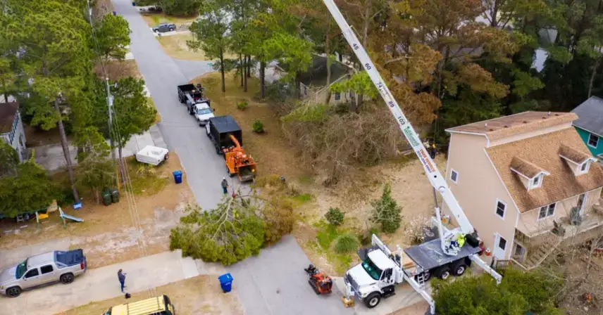 Crane Service Tree Removal In Outer Banks, NC